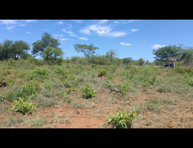 4,000M² VACANT LAND FOR SALE IN THOHOYANDOU RURAL